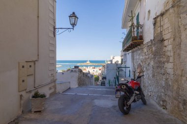 Vieste, İtalya - 28 Ekim 2023: Vieste eski kasabası, Foggia bölgesi, Apulia bölgesi