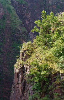 Gorges de Daluis 'in kırmızı kayaları, Fransa' nın Cote d 'Azur bölgesindeki Provence Alpes vadileri.
