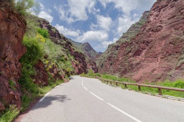Cians 'daki dağ yolu geçitleri, Bölgesel Doğa Rezervi, Güney Fransa