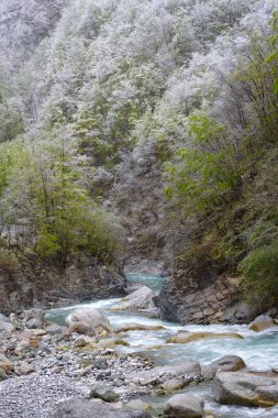 Fransa sınırına yakın Ligurian Alpleri 'nde bulunan Tanaro Nehri, İtalya' nın Cuneo eyaletinin Po, Piedmont bölgesine en önemli akarsudur.