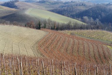 Langhe 'deki tepeler ve kırsal bölge, Piedmont bölgesi, Kuzey İtalya