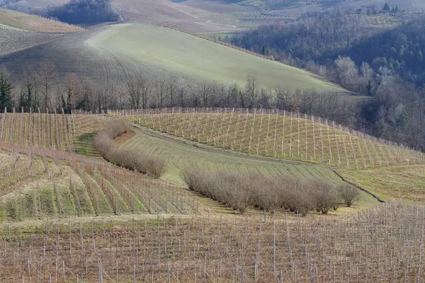 Langhe 'deki tepeler ve kırsal bölge, Piedmont bölgesi, Kuzey İtalya