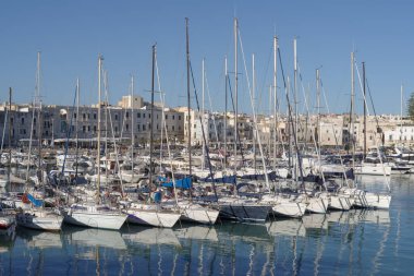 Trani Limanı, Apulia, İtalya