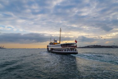 İstanbul, Türkiye - 11 Kasım 2024: İstanbul Boğazı 'nı geçerken Maidens Tower yakınlarından bir feribot geçiyor