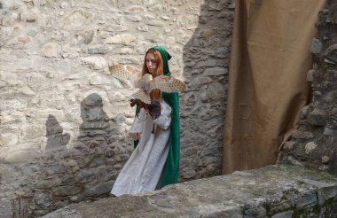 Taggia, İtalya - 23 Şubat 2025: İtalya 'nın Liguria bölgesindeki tarihi Taggia kentinde çeşitli yırtıcı kuşlarla birlikte ortaçağ festivalinde şahin gösterisi