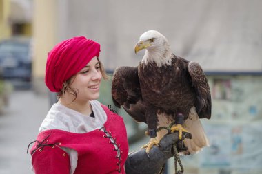 Taggia, İtalya - 23 Şubat 2025: İtalya 'nın Liguria bölgesindeki tarihi Taggia kentinde çeşitli yırtıcı kuşlarla birlikte ortaçağ festivalinde şahin gösterisi