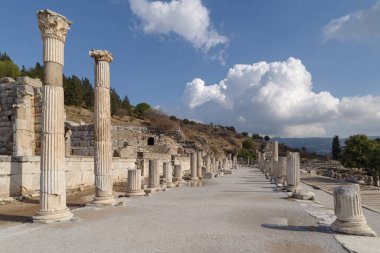 Efes 'in kalıntıları antik kent, Selcuk, İzmir, Türkiye