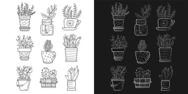 Ev bitkileri, saksı çiçekleri, siyah beyaz çiçekler, karatahta çiçekleri, kaktüsler.