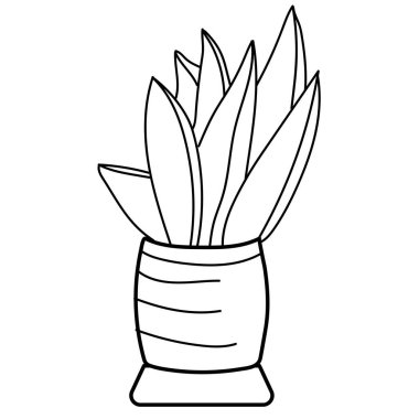 Ana hatlarıyla çizilmiş bir saksıda ev çiçeği