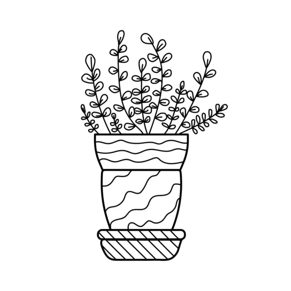 Домашний Цветок Горшке Нарисованном Контуре — стоковый вектор