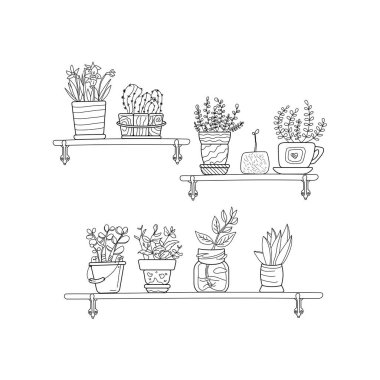 Ev yapımı çiçeklerin raflarının çizgi çizimi. Saksı çiçekleri. Tesisatçı.