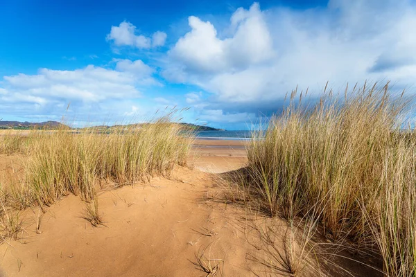 Dune Sabbia Sulla Spiaggia Portsalon Nel Donegal Sulla Wild Atlantic — Foto Stock