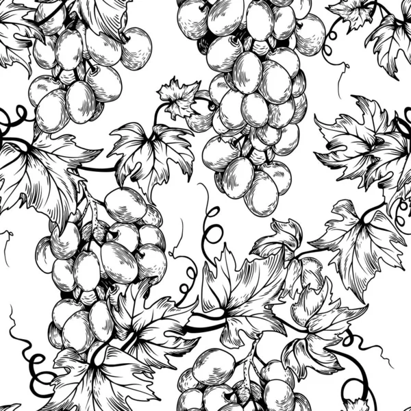 Seamless pattern with grape branches. Hand drawn vector illustration.