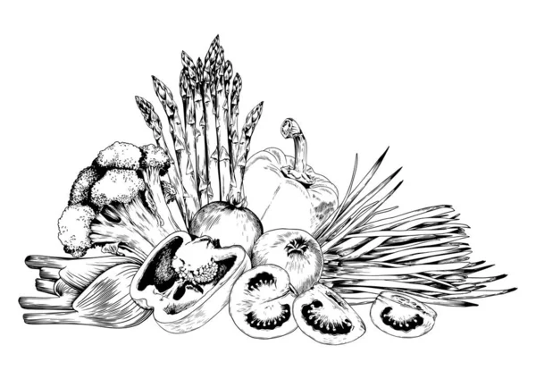 Broccoli Asparagi Pomodoro Verdure Verdi Illustrazione Vettoriale Disegnata Mano Bianco — Vettoriale Stock