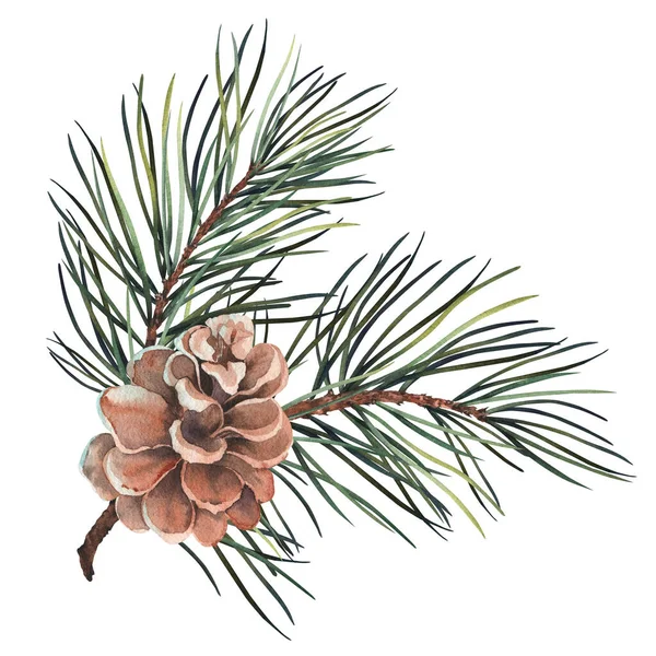 Pine Branch Cone Watercolor Illustration Isolated White Background — Stock Photo, Image