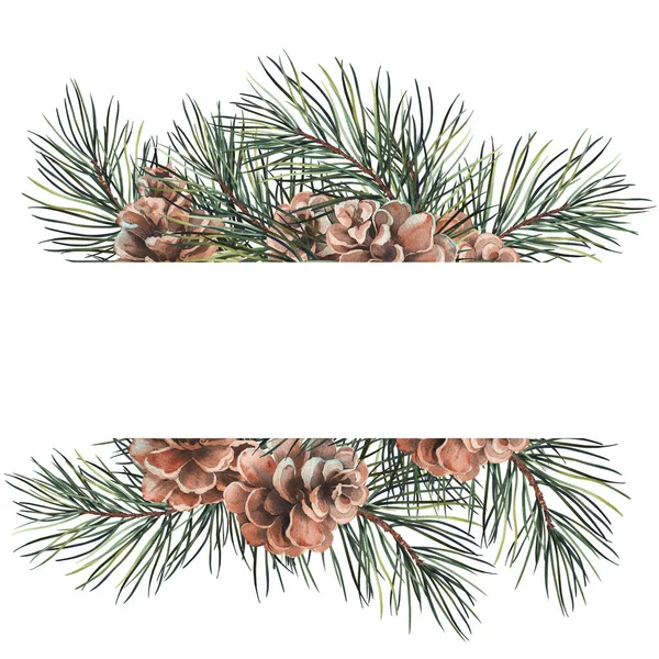 Green forest frame with pine branches and cones. Watercolor illustration on white background.