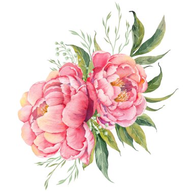 Pembe şakayık çiçek aranjmanı. Suluboya çizimi beyaz arkaplanda izole edildi.