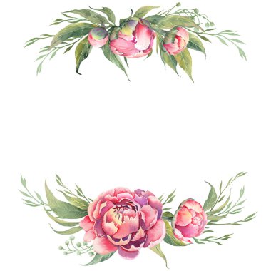 Güzel pembe şakayıklı çiçek kartı. Beyaz arkaplanda suluboya çizimi.