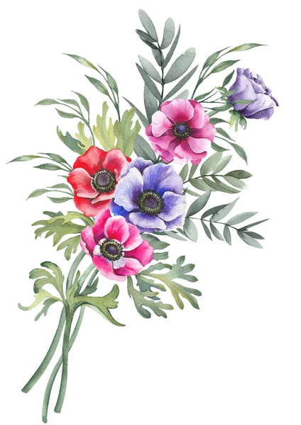 Bunte Anemonenblüten Und Grüne Zweige Arrangieren Sich Illustration Isoliert Auf — Stockfoto