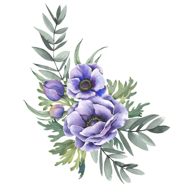 Blaue Anemonenblüten Und Grüne Zweige Aquarell Illustration Isoliert Auf Weißem — Stockfoto