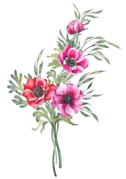 Bunte Anemonenblüten Und Zarte Zweige Duften Illustration Isoliert Auf Weißem — Stockfoto
