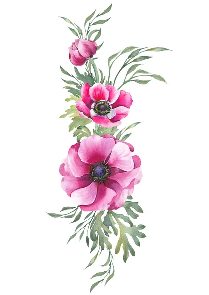 Рожеві Квіти Анемони Ніжні Гілки Кордону Акварельна Ілюстрація Ізольована Білому — стокове фото