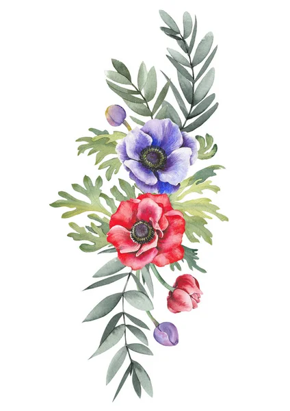Червоні Фіолетові Квіти Анемони Акварельна Ілюстрація Ізольована Білому Тлі — стокове фото
