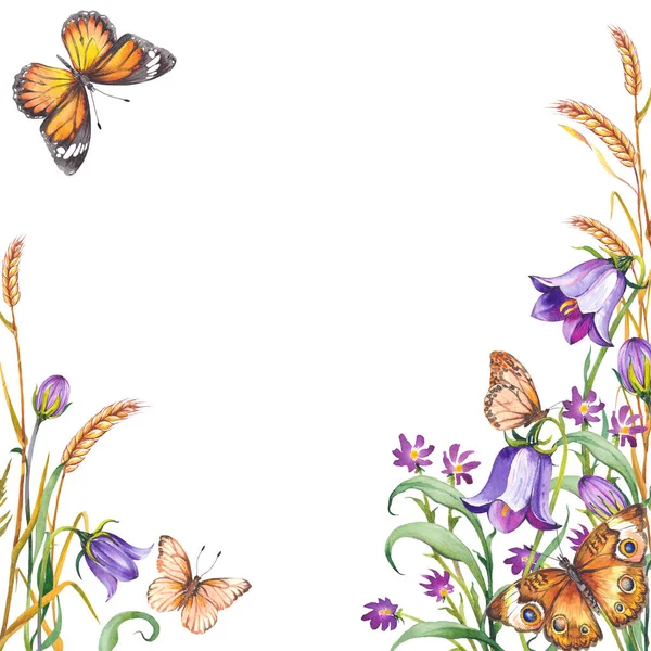 Cornice Quadrata Con Fiori Campo Foglie Verdi Farfalle Illustrazione Acquerello — Foto Stock