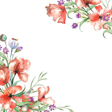 Kırmızı gelincik çiçekli kare çerçeve. Beyaz arkaplanda suluboya çizimi.