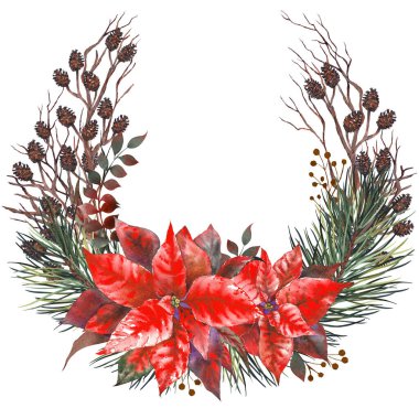 Kırmızı Poinsettia yıldız çiçekleri ve orman dallarıyla Noel demi çelengi. Elle boyanmış suluboya resim.