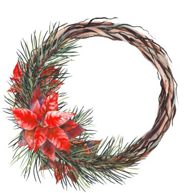 Kırmızı yıldız çiçekli ve çam dallı Noel çelengi. Elle boyanmış suluboya resim.