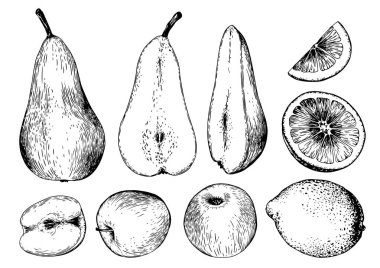 Bir çift armut, elma ve limon meyvesi. Siyah ve beyaz vektör, el çizimi illüstrasyon.