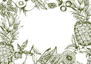 Ananas ve tatlı meyve çerçevesi. Doğrusal el çizilmiş vektör çizimi.