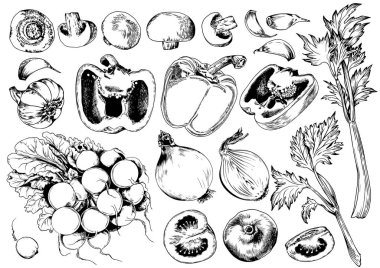 Sebze takımı. Mantar, dolmalık biber, domates ve kereviz koleksiyonu. Siyah ve beyaz vektör çizimi.