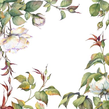 Beyaz gül çiçekleri ve yeşil dalları olan kare bir çiçek çerçevesi. Davetiye, düğün, doğum günü ya da yıldönümü kartı şablonu. Suluboya resim.