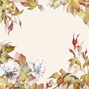 Beyaz gül çiçekli kare bir çerçeve. Bej arkaplanda suluboya çizimi.