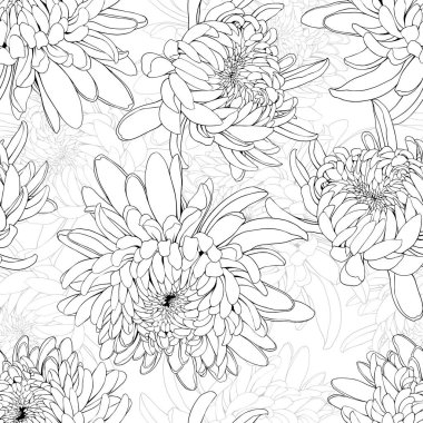 Siyah ve beyaz kasımpatı çiçekli kusursuz desen. El çizimi vektör illüstrasyonu.