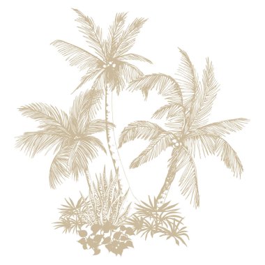 Tropik palmiye ağaçları toplanır. El çizimi tropikal illüstrasyon. Botanik taslak kompozisyonu.