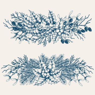 Mutlu Noeller ve yeni yılınız kutlu olsun. Çam dalları ve kutsal çilek yapraklarıyla. El çizimi vektör çizimi. Klasik mavi tonlama kartı.
