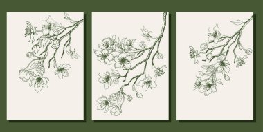 Bahar kiraz çiçekli kartlar. El çizimi sanat vektörü illüstrasyonu.