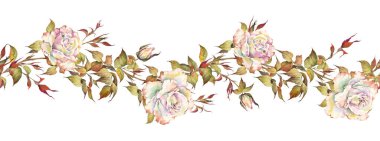 Gül çiçekleri ve yeşil dalları olan kusursuz bir sınır. Suluboya elle boyanmış resim.