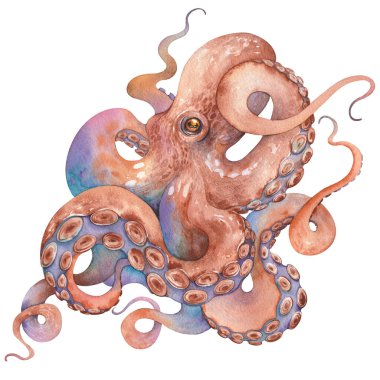 Elle boyanmış ahtapot resmi. Vahşi yaşam okyanusu izole edilmiş klipsli sanat öğesi.
