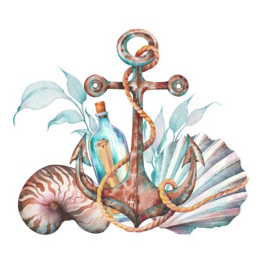 Anchor, nautilus ve suluboya klipsleme sanatı. Herhangi bir tasarım, logo ve konsept için elle boyanmış çizimler.