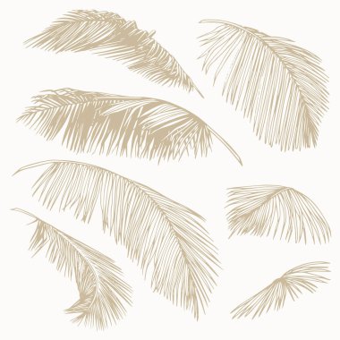 El yapımı el yapımı palmiye yaprakları. Baskı, damgalama, paketleme ve modern tasarım projeleri için mükemmel minimalist tropikal botanik vektörü.