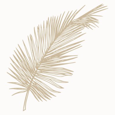 El yapımı palmiye yaprağı. Baskı, damgalama, paketleme ve modern tasarım projeleri için mükemmel minimalist tropikal botanik vektörü.