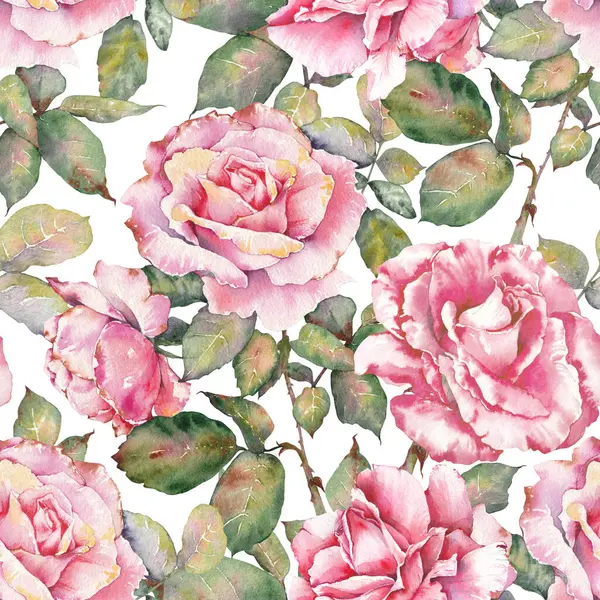 Romantik pembe güller, kusursuz suluboya çiçek deseni. Kızarık Gül Buketleri tasarımı.