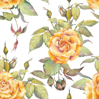 Sarı güller, dikişsiz suluboya çiçek deseni. Kızarık Gül Buketleri tasarımı. Markalaşma, ambalaj, tekstil, tebrik kartları, hatıra defteri ve diğer tasarım projeleri için harika..