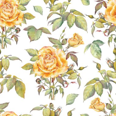 Sarı Güller Dikensiz Çiçek deseni. Kızarık Gül Buketleri tasarımı. Markalaşma, ambalaj, tekstil, tebrik kartları, hatıra defteri ve diğer tasarım projeleri için harika..