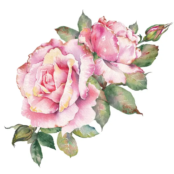 Pembe gül çiçekleri çizimi. Düğün davetiyelerinde, markalaşma, ambalaj, tebrik kartları, hatıra defteri ve çeşitli yaratıcı tasarım projelerinde kullanım için ideal.