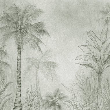 El yapımı tropik palmiye ağaçları ve kalem çizimi tarzında yapraklar. Klasik ve doğal estetik botanik orman çizimi, baskılar, posterler ve iç dekorasyon için idealdir..